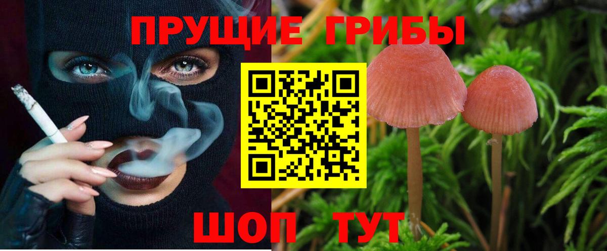 Галлюциногенные грибы ЛСД  Вход с VPN  Аргун 
