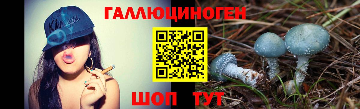 Псилоцибиновые грибы GOLDEN TEACHER Аргун
